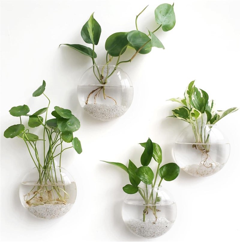 Mkono Wall Hanging Planter Propagation Station Glass Flower Vase for Hydroponics Plants, Bathroom, Home Office Living Room Decor Gift, Oblate Set of 4 - Image 1